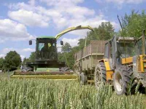 CAPA PRODUCTION AGRICOLE ET UTILISATION DU MATERIEL