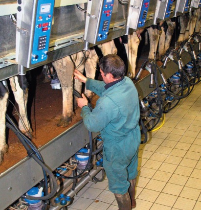 production laitière