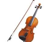 violon