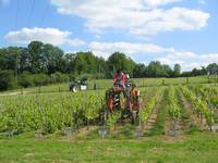 BP vigne et vin - CFA de Rodihan - Gard