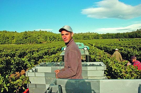 brevet de technicien superieur agricole btsa