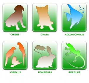 TP commerce vente en animalerie LEAP de Coulogne TP commerce vente en animalerie LEAP de Coulogne